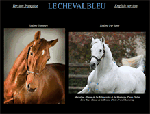 Tablet Screenshot of le-cheval-bleu.com